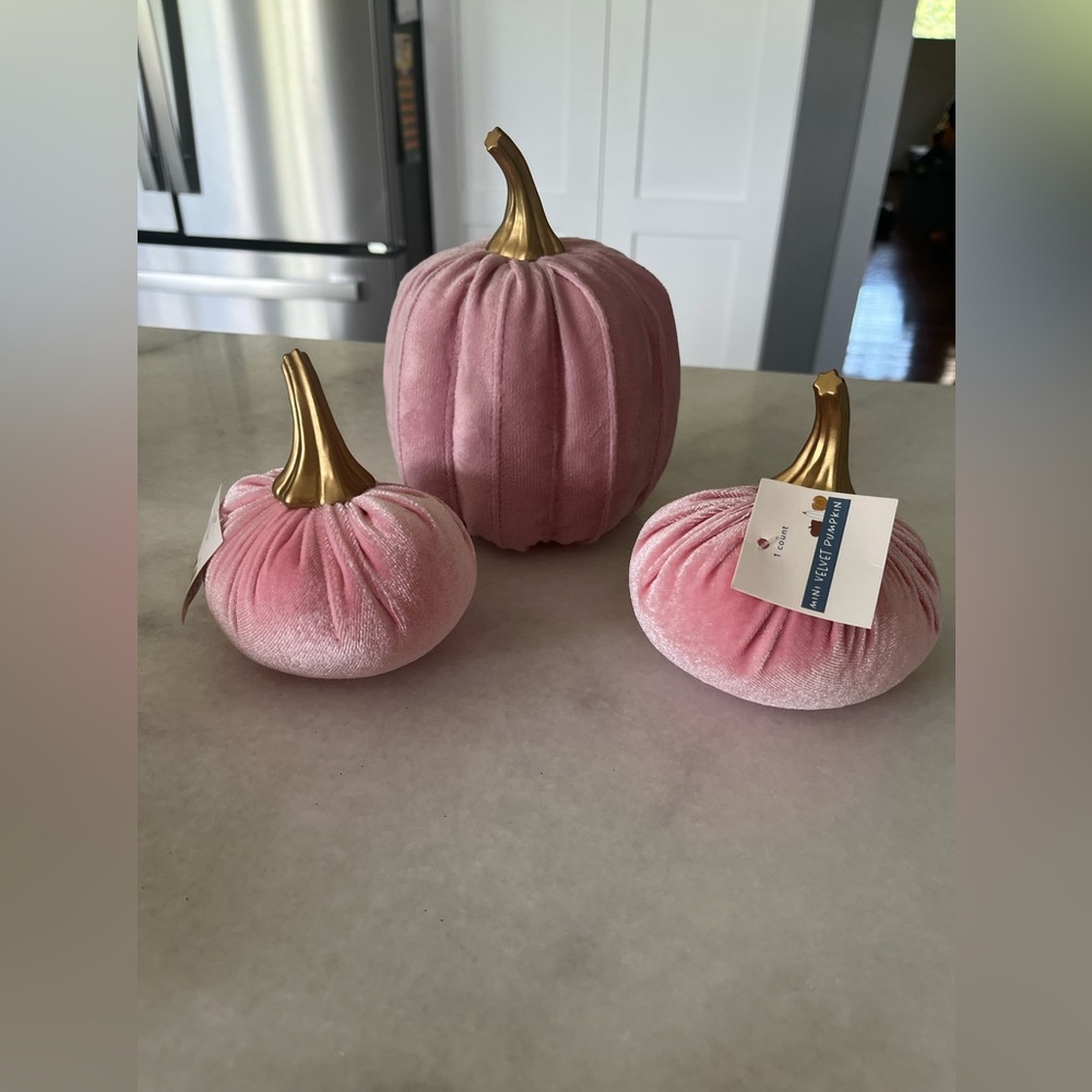 Pumpkin bundle